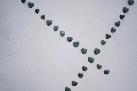Heart-shaped leaves form an artistic pattern on a textured white wall. PNG