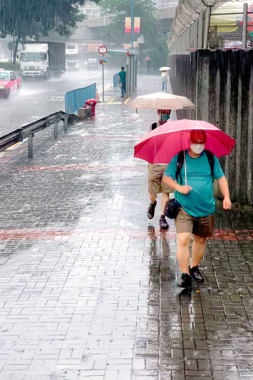 People walking on a wet sidewalk under umbrellas during heavy rain.