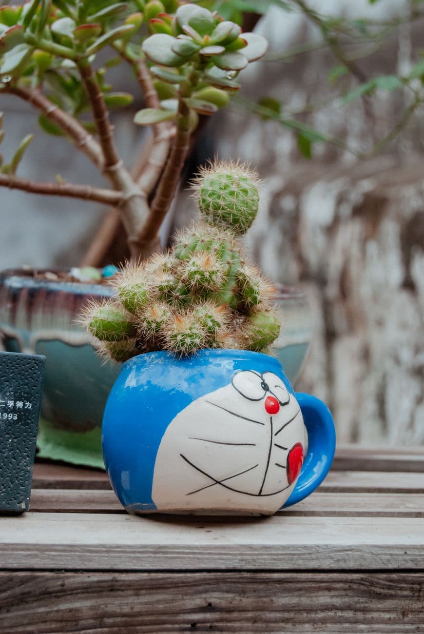 A cactus planted in a colorful cartoon character pot, placed on a wooden table outdoors.