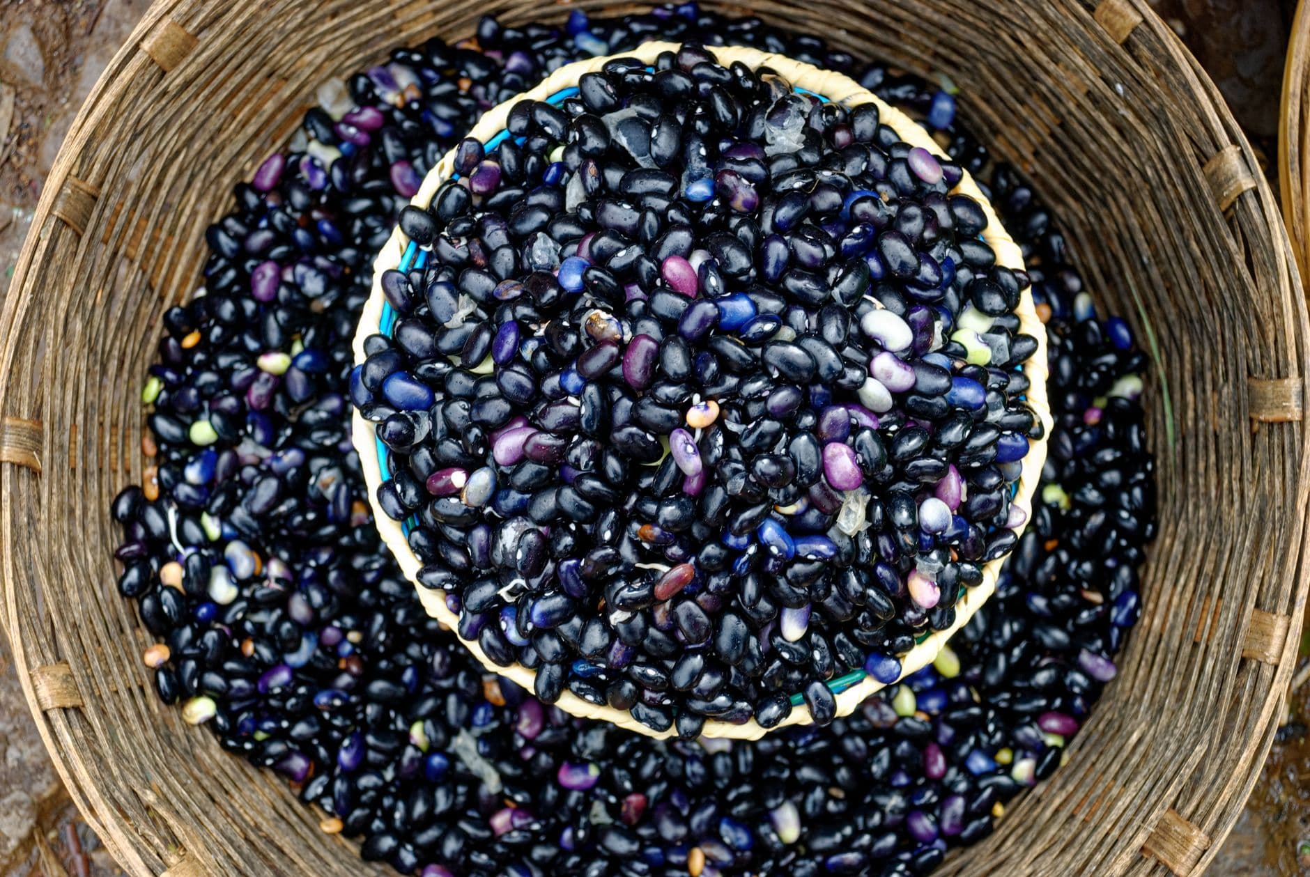 A collection of raw black beans in a woven basket, perfect for culinary and agricultural t