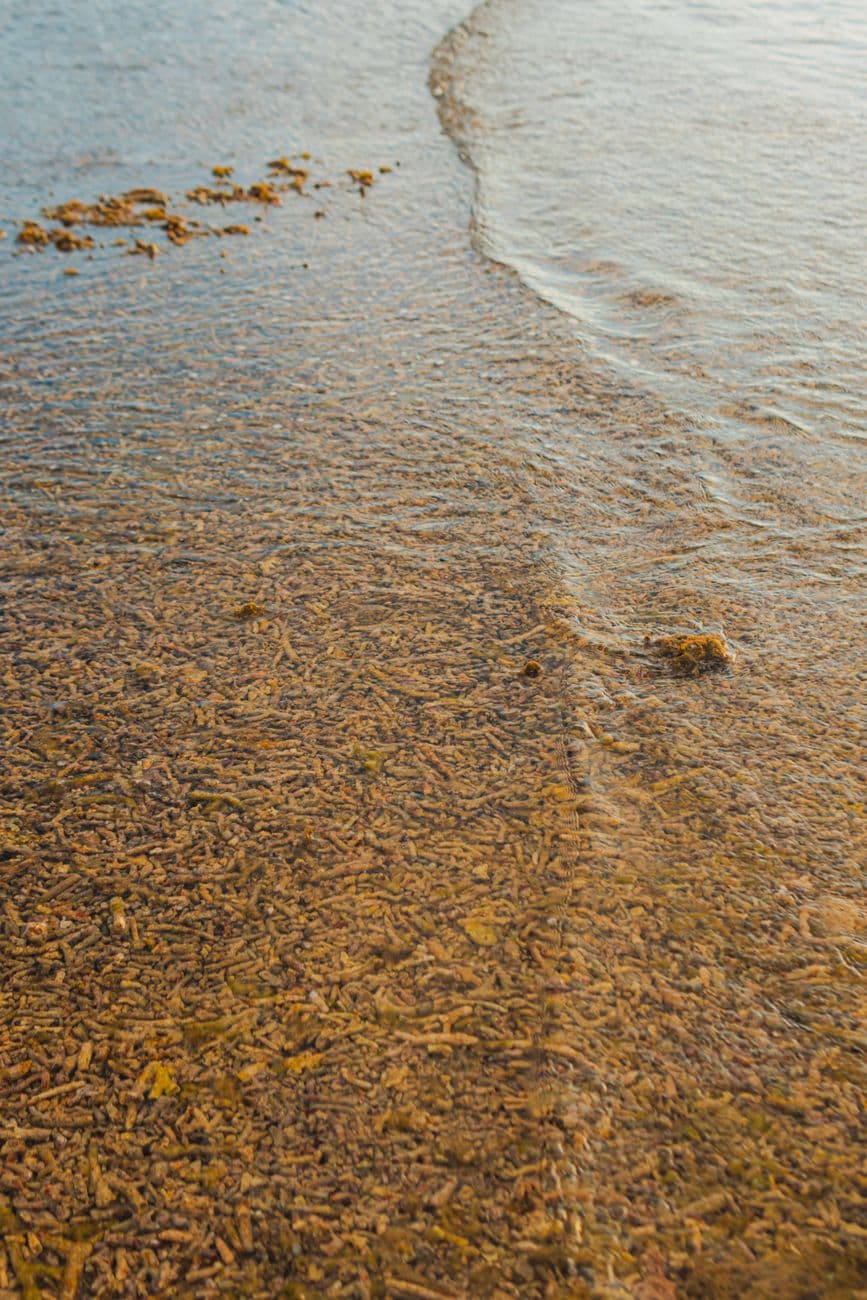 A peaceful beach with shallow waves gently washing over the sandy shore at sunset.