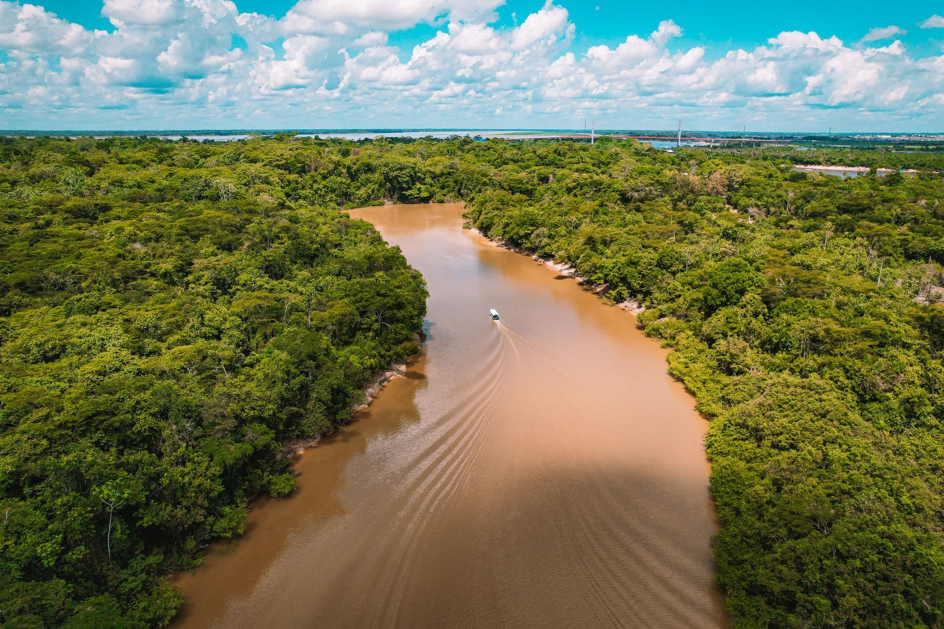 A scenic aerial shot of a boat navigating through the muddy Amazon River surrounded by lus