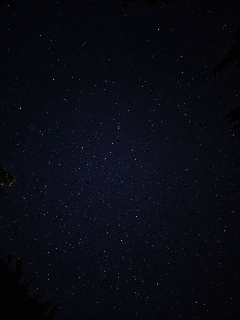 A stunning vertical shot of a starry night sky, perfect for astronomy enthusiasts.