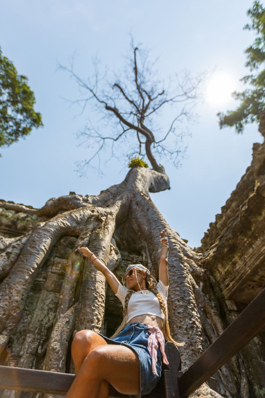 A woman sits under an ancient tree at Ta Prohm temple, basking in the sunlight at this ico