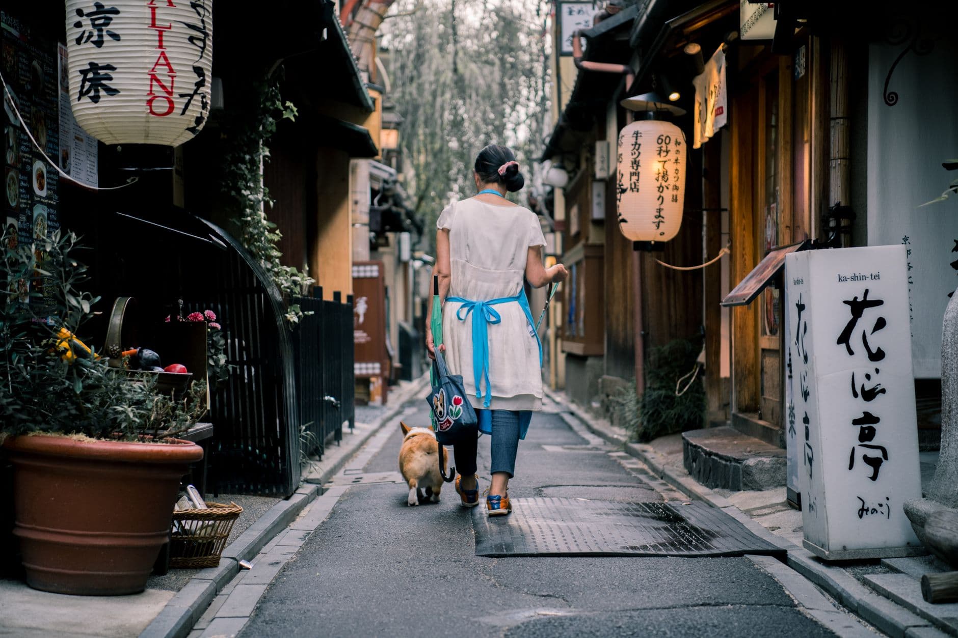 An Asian woman walks her dog through a traditional Kyoto alley, surrounded by lanterns and