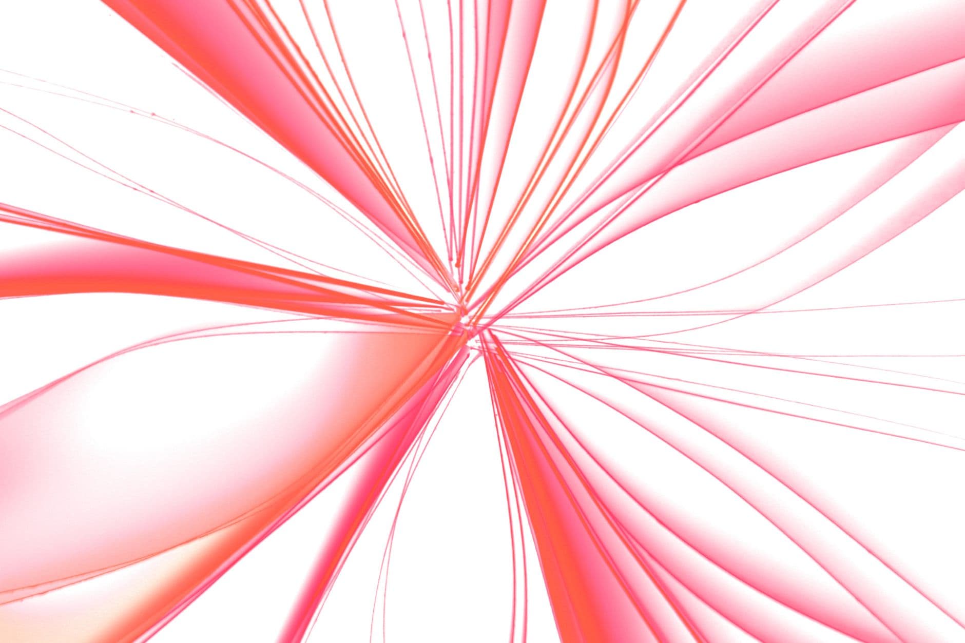 Dynamic abstract design with pink and white curved lines in a digital artwork.