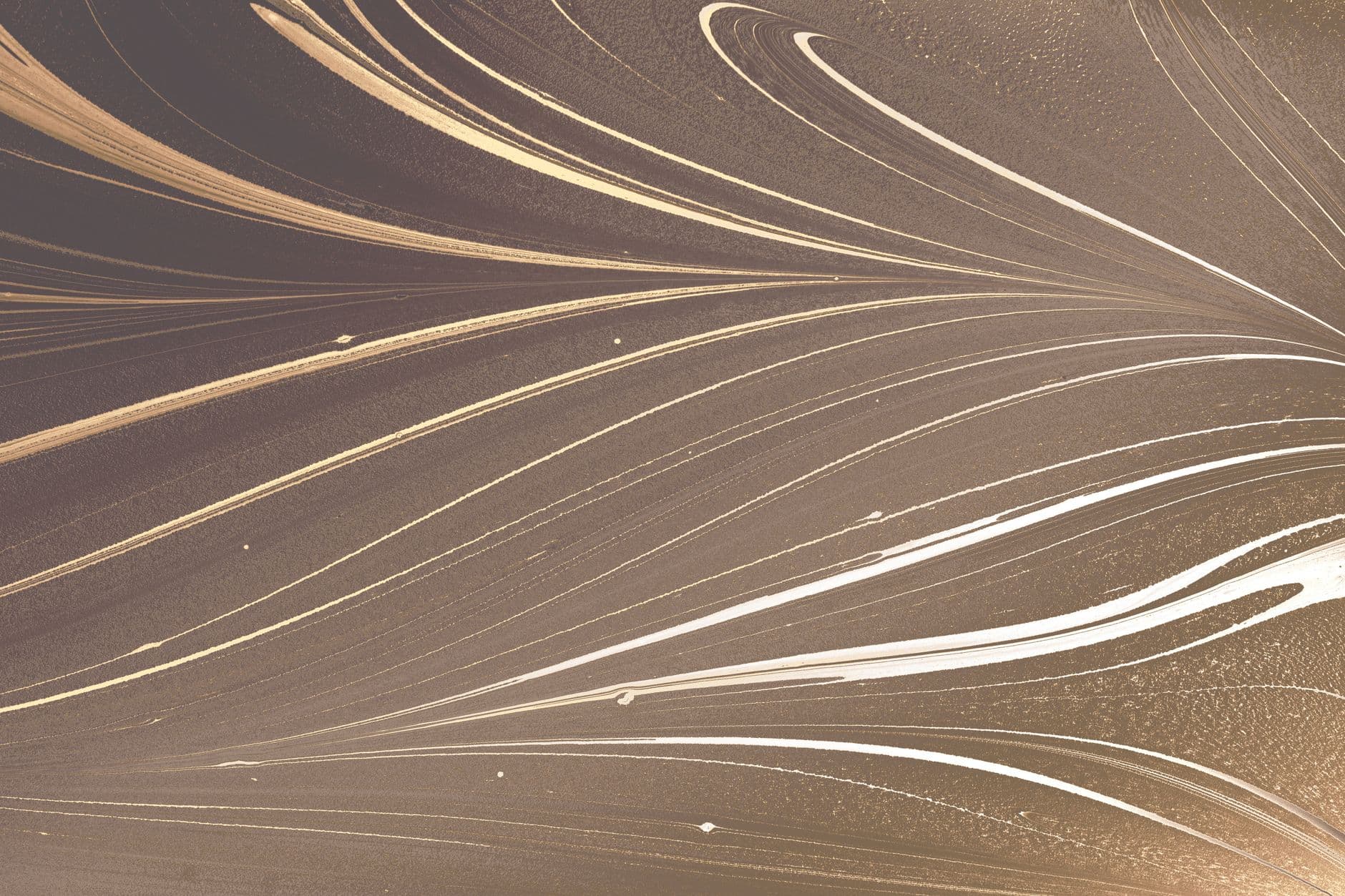 Elegant abstract design featuring golden flowing lines on a textured background.