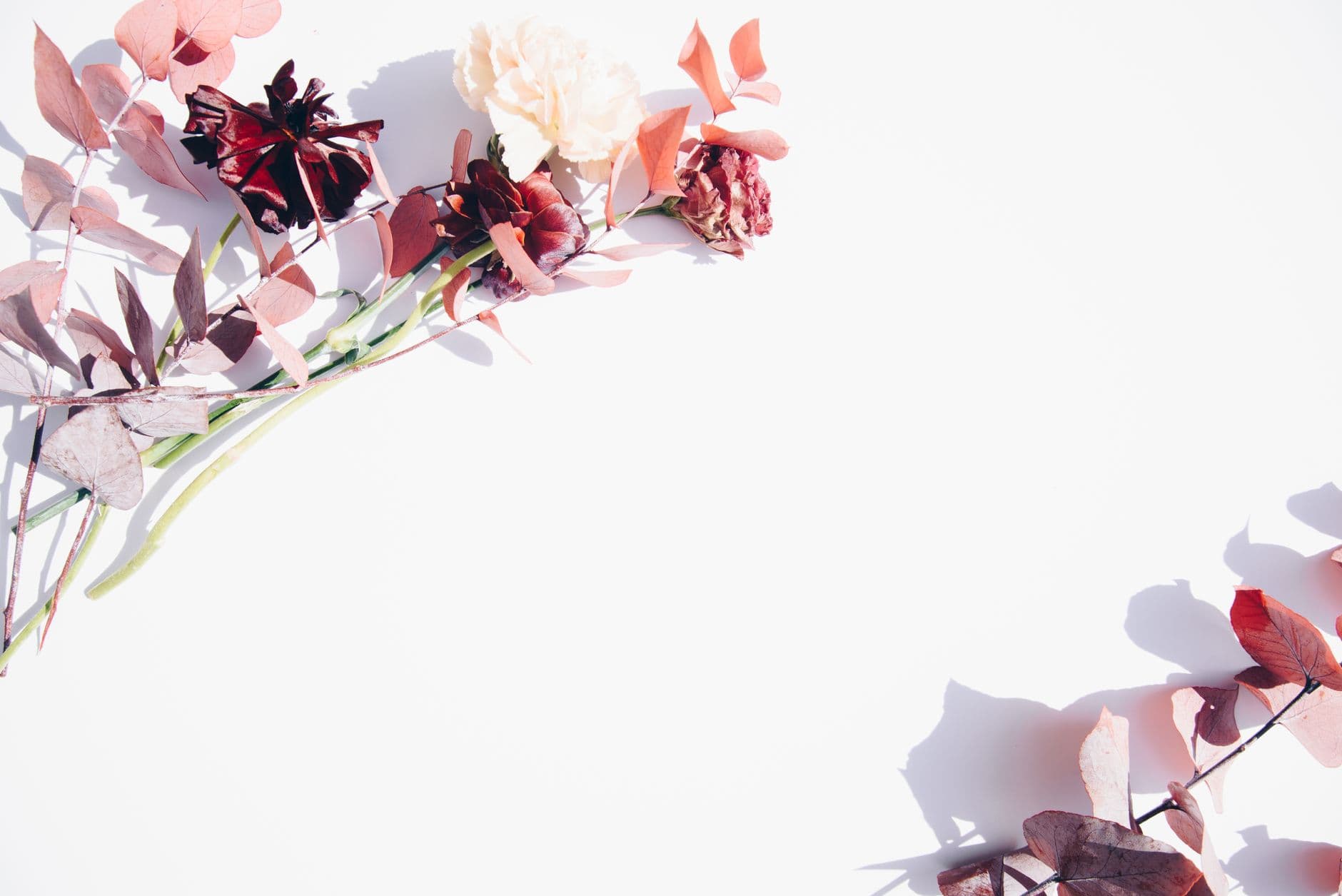 Minimalist flat lay of red and pink flowers on a white backdrop, perfect for romantic or w