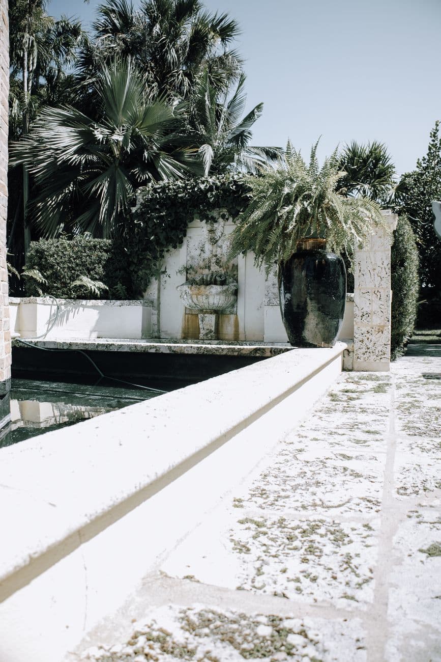 Serene sunlit garden with palm trees and tropical plants, showcasing a tranquil outdoor es