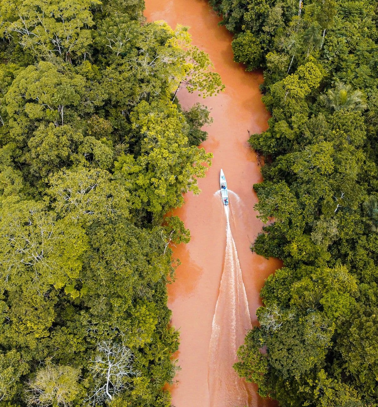 Stunning aerial view of a boat navigating a river surrounded by lush jungle in Putumayo, C